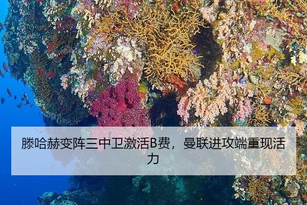 teng-ha-he-bian-zhen-san-zhong-wei-ji-huo-fei-man-lian-jin-gong-duan-zhong-xian-huo-li-3-878.jpg