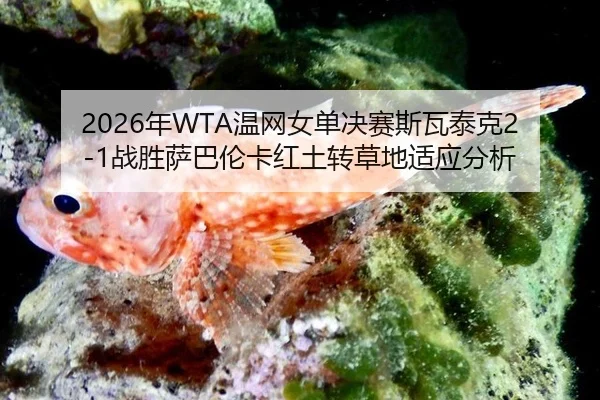 nian-wen-wang-nv-dan-jue-sai-si-wa-tai-ke-zhan-sheng-sa-ba-lun-ka-hong-tu-zhuan-cao-di-shi-ying-fen-xi-3-221.jpg
